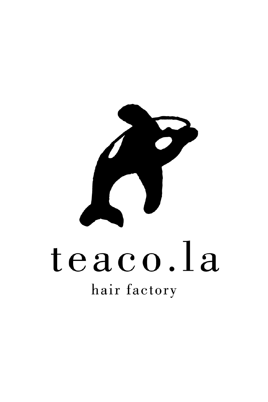 teaco.la hair factory